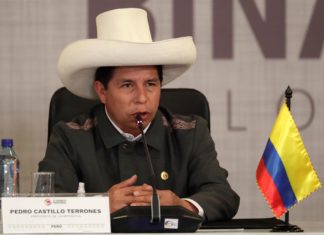 La oposición plantea destituir a Castillo mediante una acusación constitucional