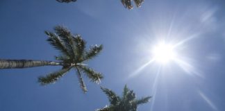 Ambiente de buen tiempo en gran parte del país