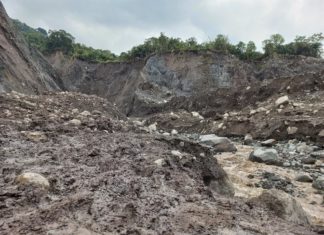 La Amazonia se acerca a un punto de no retorno para convertirse en una sabana