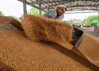Los precios del café en todo el mundo podrían incrementar