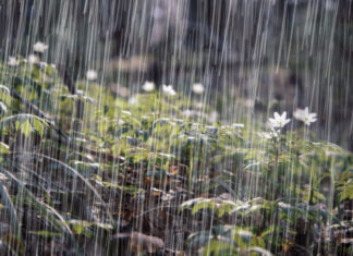 Nueve provincias continúan en alerta por posibles inundaciones