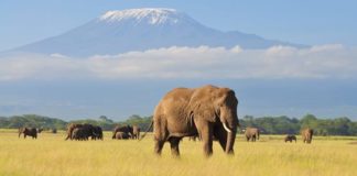 Subir a la montaña más alta de África sin perder la conexión a Internet ya es una realidad