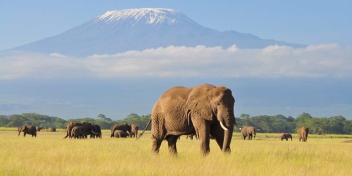 Subir a la montaña más alta de África sin perder la conexión a Internet ya es una realidad