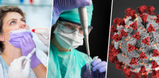 el número de muertes por covid-19 en el mundo aumentó en un 35 % en 4 semanas
