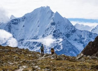 Científicos hallan una inesperada riqueza biológica en el monte Everest