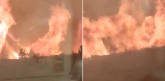 Pasajeros rompen las ventanas al intentar escapar de un tren rodeado por las llamas de un incendio forestal en España