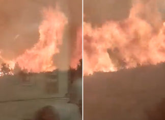 Pasajeros rompen ventanas intentando escapar de tren en llamas en España Pasajeros rompen las ventanas al intentar escapar de un tren rodeado por las llamas de un incendio forestal en España