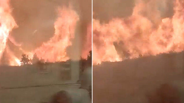 Pasajeros rompen las ventanas al intentar escapar de un tren rodeado por las llamas de un incendio forestal en España Pasajeros rompen las ventanas al intentar escapar de un tren rodeado por las llamas de un incendio forestal en España