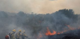 La Amazonía brasileña registra en agosto los peores incendios de los últimos 12 años