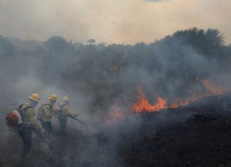 Se registran incendios en la amazonía brasileña La Amazonía brasileña registra en agosto los peores incendios de los últimos 12 años