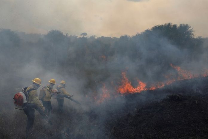 La Amazonía brasileña registra en agosto los peores incendios de los últimos 12 años