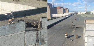 Ucrania lanza un ataque contra la central termoeléctrica de Energodar