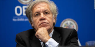 Investigan al jefe de la OEA por relación con asistente