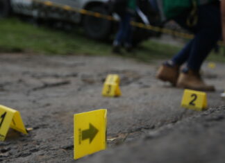Los datos de seguridad en México se divulgan Imagen ilustrada