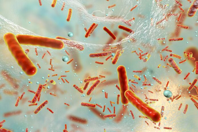 Crece el número de infectados por la bacteria 'comecarne' en Florida tras el paso del huracán Ian