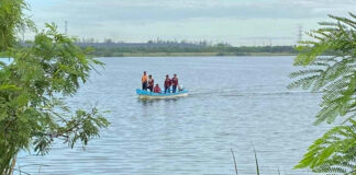Un joven lleva a su novia a pescar y cae en una laguna llena de cocodrilos en México