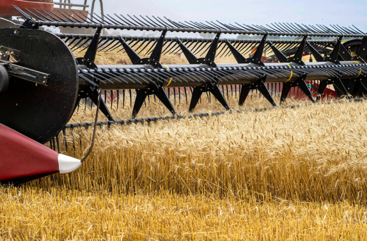 Crisis en el agro y la grave sequia en Argentina Imagen Ilustrada