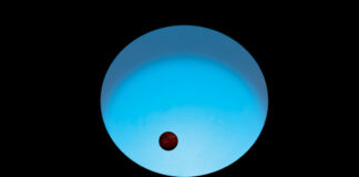 Imagen Ilustrada