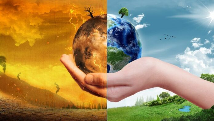 Imagen Ilustrada