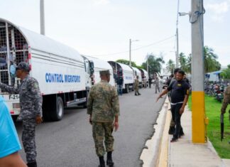 Migración ha repatriado 60 mil extranjeros, en su mayoría haitianos