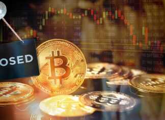 La bolsa de criptomonedas Bitfront anunció su cierre Imagen Ilustrada