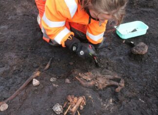 Hallan en Dinamarca los restos de posible sacrificio humano de 5.000 años Imagen Ilustrada