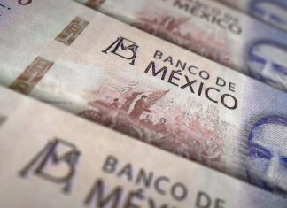 Imagen Ilustrada
