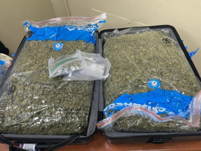 Atrapan mujer llegó por Aeropuerto Cibao con más de 30 libras de marihuana