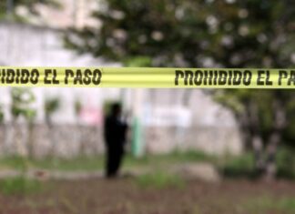 Encuentran sin vida a periodista y activista ambiental desaparecido en México Imagen Ilustrada