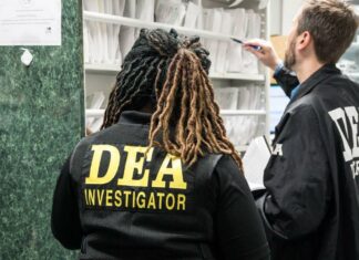 EE.UU en alerta por un peligroso aumento del trafico de la «droga zombi» con fentanilo Imagen Ilustrada