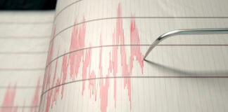 Imagen Ilustrada