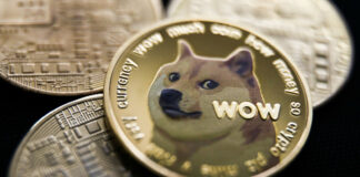 Musk promete pagar un millón de dogecoines al que demuestre que su familia tenía una mina de esmeraldas en África