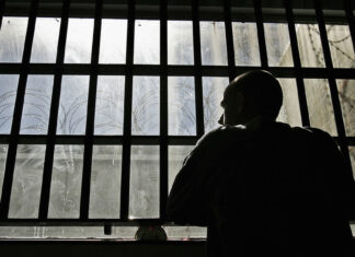 Un canadiense es condenado a prisión por crear pornografía infantil a través de IA Imagen Ilustrada