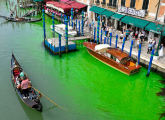 El agua del Gran Canal de Venecia se tiñe de verde y nadie sabe por qué