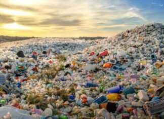 Reciclaje aumenta la toxicidad de los plásticos y amenaza la salud humana, advierte Greenpeace