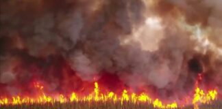 El primer ministro canadiense, Justin Trudeau, ha anunciado este miércoles la llegada de "cientos de bomberos estadounidenses" a Canadá para hacer frente a los incendios que afectan a varias zonas del país, cuyo humo ha alcanzado algunos puntos de la costa este de Estados Unidos.