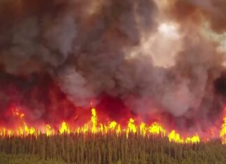 Llegan «cientos de bomberos» de EEUU para las labores de extinción de los incendios en Canadá El primer ministro canadiense, Justin Trudeau, ha anunciado este miércoles la llegada de "cientos de bomberos estadounidenses" a Canadá para hacer frente a los incendios que afectan a varias zonas del país, cuyo humo ha alcanzado algunos puntos de la costa este de Estados Unidos.
