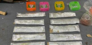 Los agentes antinarcóticos, inspectores y unidades caninas, inspeccionaron en uno de los depósitos del Inposdom, cuando detectaron sustancias extrañas en varias cajas, llaveros y otros accesorios, que serían enviados a través del correo a Canadá.