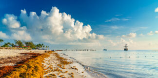 República Dominicana será la sede de la Conferencia Regional Gran Caribe – UE: Convertir el sargazo en una oportunidad, a realizarse el 15 de junio, evento que reunirá a las más altas autoridades, expertos del sector público y privado, academia, ONG del Caribe, América Latina y Europa.