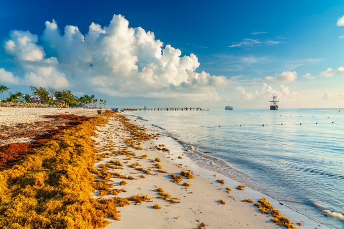 República Dominicana será la sede de la Conferencia Regional Gran Caribe – UE: Convertir el sargazo en una oportunidad, a realizarse el 15 de junio, evento que reunirá a las más altas autoridades, expertos del sector público y privado, academia, ONG del Caribe, América Latina y Europa.