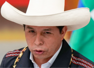 Juez rechaza recurso de Pedro Castillo para anular investigación