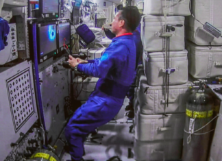 China cultiva en el espacio células madre sanguíneas