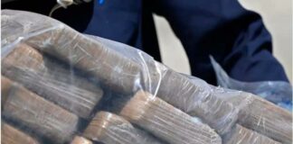 La Dirección Nacional de Control de Drogas (DNCD) informó este miércoles que fueron confiscados 58 paquetes de cocaína, en medio de un operativo de inspección realizado en el Aeropuerto Internacional de las Américas.