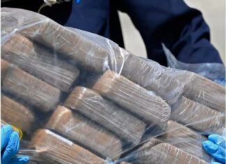 DNCD decomisa 58 paquetes de cocaína en el AILA La Dirección Nacional de Control de Drogas (DNCD) informó este miércoles que fueron confiscados 58 paquetes de cocaína, en medio de un operativo de inspección realizado en el Aeropuerto Internacional de las Américas.
