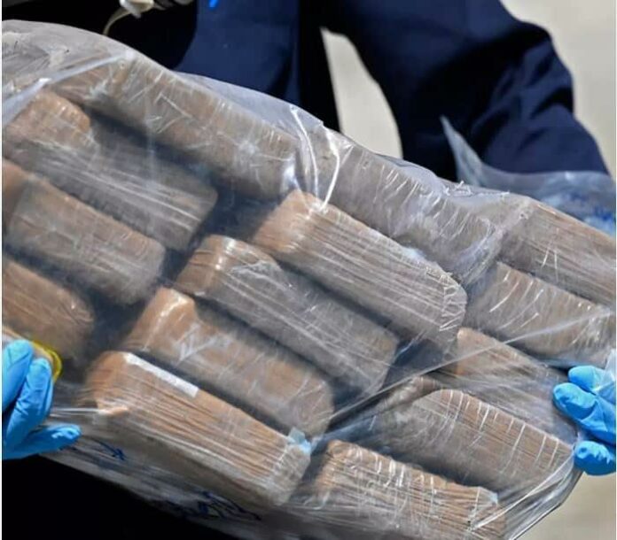 DNCD decomisa 58 paquetes de cocaína en el AILA La Dirección Nacional de Control de Drogas (DNCD) informó este miércoles que fueron confiscados 58 paquetes de cocaína, en medio de un operativo de inspección realizado en el Aeropuerto Internacional de las Américas.