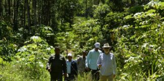 En seguimiento a las acciones tomadas a partir de la visita realizada el fin de semana a Villa Altagracia por el ministro de Medio Ambiente y Recursos Naturales, Miguel Ceara Hatton y el procurador para la Defensa del Medio Ambiente, Francisco Contreras Núñez, la Policía Nacional arrestó este cuatro desaprensivos que estaban depredando la Reserva Forestal Loma Novillero.