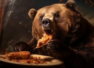 Un oso entra a una panadería y devora 125 empanadas