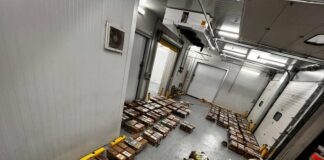 Colombia, Dominicana y Bahamas incautan más de 1,5 toneladas de cocaína en operativos conjuntos