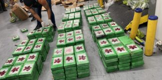 La Dirección Nacional de Control de Drogas (DNCD) y efectivos de la Seguridad Militar del Puerto Multimodal Caucedo, apoyados por miembros del Ministerio Público, confiscaron 400 paquetes presumiblemente cocaína, en un operativo de interdicción desarrollado en la referida terminal, del municipio de Boca Chica, provincia Santo Domingo.