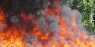 La Procuraduría General de la República (PGR) procedió este jueves con la incineración de otros 58 kilogramos de diferentes sustancias narcóticas, en un acto realizado en el recinto del Ejército de República Dominicana (ERD), en el municipio Pedro Brand, provincia Santo Domingo.